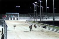 night_test_race_Greyhound_Park_Motol_IMG_8779-v.JPG