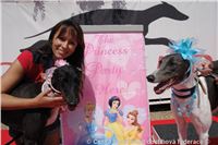 Princess_party_DSC05382_Czech_Greyhound_Racing_Federation.JPG