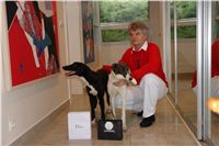 chrt_NewMac_Dior_Ceska_greyhound_dostihova_federace_DSC09179.jpg