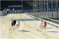 Double_Track_Record_Greyhound_Park_Motol_CGDF_DSC_8457.JPG