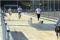 Double_Track_Record_Greyhound_Park_Motol_CGDF_DSC_8471.JPG