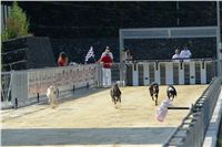 Double_Track_Record_Greyhound_Park_Motol_CGDF_DSC_8623.JPG