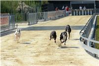 Double_Track_Record_Greyhound_Park_Motol_CGDF_DSC_8628.jpg