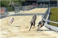Double_Track_Record_Greyhound_Park_Motol_CGDF_DSC_8630.JPG