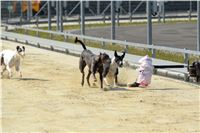 Double_Track_Record_Greyhound_Park_Motol_CGDF_DSC_8637.JPG