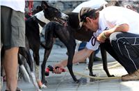 Double_Track_Record_Greyhound_Park_Motol_CGDF_DSC_8687.JPG