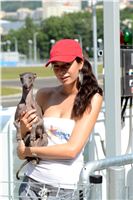 Double_Track_Record_Greyhound_Park_Motol_CGDF_DSC_8722.JPG