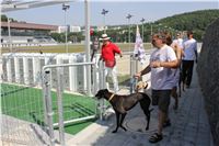 Double_Track_Record_Greyhound_Park_Motol_CGDF_IMG_9112.JPG