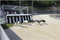 Double_Track_Record_Greyhound_Park_Motol_CGDF_IMG_9124-u.JPG