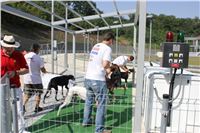 Double_Track_Record_Greyhound_Park_Motol_CGDF_IMG_9196.JPG