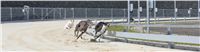 Double_Track_Record_Greyhound_Park_Motol_CGDF_IMG_9203.JPG