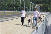 Double_Track_Record_Greyhound_Park_Motol_CGDF_IMG_9213.JPG