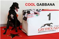 Gabbana_Greyhound_Park_Motol_Czech_Racing_CGDF.jpg