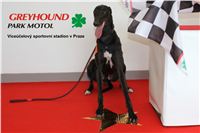 Gabbana_Greyhound_Park_Motol_Czech_Racing_CGDF_2.jpg