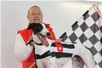 Dolce_Greyhound_Park_Motol_Czech_Racing_CGDF_2.JPG