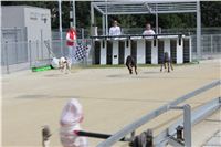 Greyhound_Park_Motol_Czech_Race_track_CGDF_IMG_9457.JPG