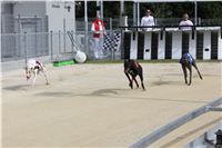 Greyhound_Park_Motol_Czech_Race_track_CGDF_IMG_9458.JPG
