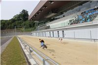 Greyhound_Park_Motol_Czech_Race_track_CGDF_IMG_9459.JPG