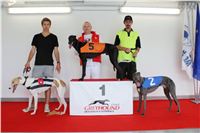 Greyhound_Park_Motol_Czech_Race_track_CGDF_IMG_9465.jpg