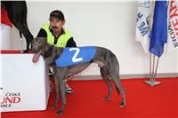 Greyhound_Park_Motol_Czech_Race_track_CGDF_IMG_9473.JPG