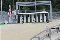 Greyhound_Park_Motol_Czech_Race_track_CGDF_IMG_9500.JPG