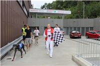 Greyhound_Park_Motol_Czech_Race_track_CGDF_IMG_9577.JPG