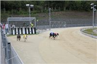 Greyhound_Park_Motol_Czech_Race_track_CGDF_IMG_9591.JPG