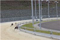 Greyhound_Park_Motol_Czech_Race_track_CGDF_IMG_9594.JPG