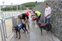 Greyhound_Park_Motol_Czech_Race_track_CGDF_IMG_9599.JPG