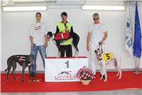 Greyhound_Park_Motol_Czech_Race_track_CGDF_IMG_9609.jpg