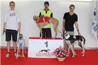 Greyhound_Park_Motol_Czech_Race_track_CGDF_IMG_9720.jpg
