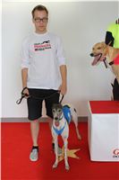 Greyhound_Park_Motol_Czech_Race_track_CGDF_IMG_9725.JPG