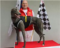 Gucci_Trio_race_Greyhound_Park_Motol_CGDF_.jpg