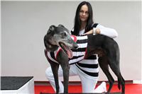 Prague_racing_Greyhound_Park_Motol_CGDF_IMG_0365.JPG