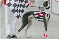 Prague_racing_Greyhound_Park_Motol_CGDF_NQ1M0106.JPG