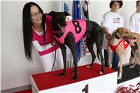 Trio_race_Greyhound_Park_Motol_CGDF_IMG_0018.jpg