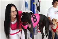 Trio_race_Greyhound_Park_Motol_CGDF_IMG_0021.JPG