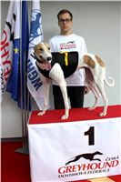 Trio_race_Greyhound_Park_Motol_CGDF_IMG_0105.JPG