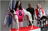 Trio_race_Greyhound_Park_Motol_CGDF_IMG_0182.JPG