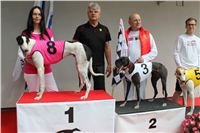 Trio_race_Greyhound_Park_Motol_CGDF_IMG_0186.JPG