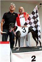 Trio_race_Greyhound_Park_Motol_CGDF_IMG_0201.JPG