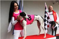 Trio_race_Greyhound_Park_Motol_CGDF_IMG_0229.JPG