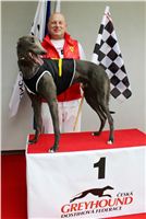 Trio_race_Greyhound_Park_Motol_CGDF_IMG_0318.JPG