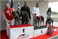 Trio_race_Greyhound_Park_Motol_CGDF_IMG_0360.JPG