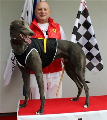 Winner_Gucci_Greyhound_Park_Motol_Prague.JPG Winner_Gucci_Greyhound_Park_Motol_Prague.jpg