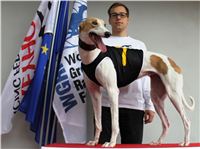 Winner_Wuitton_Czech_Greyhound_Racing_Federation_IMG_0113.JPG