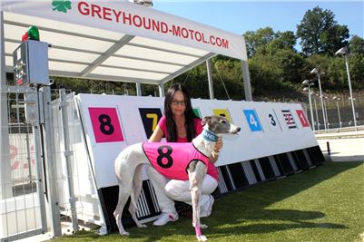 Pink_greyhound_model_CHANEL_Czech_Greyhound_Race_Track_Prague.jpg