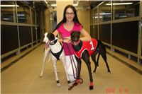 Cool_Dolce_double_record_Greyhound_Park_Motol_DSC00262.JPG