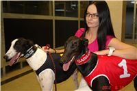 Cool_Dolce_double_record_Greyhound_Park_Motol_DSC00265.jpg