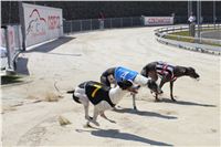 Cool_Dolce_double_record_Greyhound_Park_Motol_IMG_0811.JPG